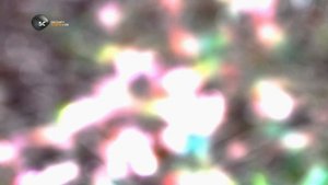 Пищевая фабрика 1 сезон 8 серия (документальный сериал, 2012)