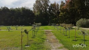 Сириус. Парк южные культуры.