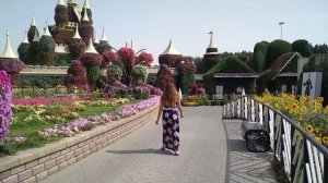 Кругом петунии!Миракл Гарден!