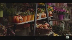 Хэллоуин в Германии 🇩🇪: Мифы и Реальность 👻 | От Самайна до Дня Реформации