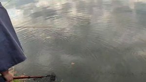 Утро на водоёме