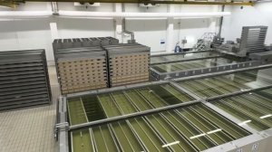 Экспорт молока