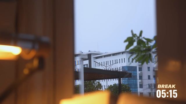 2 часа STUDY WITH ME at Sunset ｜ NO MUSIC, Rain Sounds ｜ Pomodoro 50-10