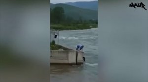 Эти Животные ЗВАЛИ на ПОМОЩЬ!