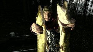 ЩУКА ПРЁТ!!! Ловля щуки на силиконовые приманки!