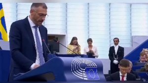 Сергей ПСИХоновский.Выступление в Европарламенте.Разбор ПРОлета.(Анонс)