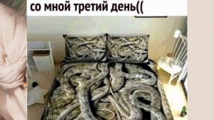 Анекдоты, приколы, юмор, статусы 😁👍