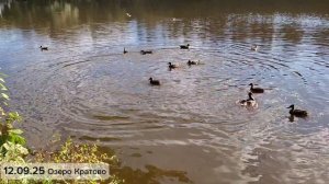 12.09.25 Жуковский Озеро Кратово
