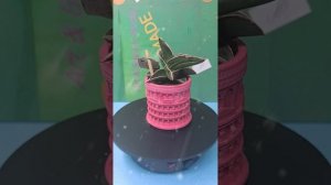 Кашпо из гипса ручная работа.