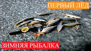 ПЕРВЫЙ ЛЁД! ЛОВЛЯ ПЛОТВЫЙ НА МОРМЫШКУ. ЖОР ОКУНЯ НА МОТЫЛЬ. ЗИМНЯЯ РЫБАЛКА.