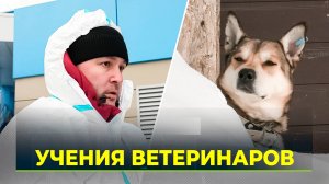 Ямальские врачи ликвидировали очаг лептоспироза