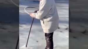 Прикольные видео