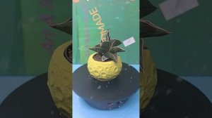 Кашпо из гипса ручная работа.