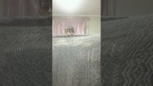 1000221545.mp4 Скидочку на серый ажур.т.89020931602