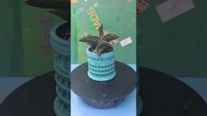 Кашпо из гипса ручная работа.