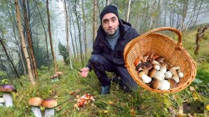 Крутой поход в горы по грибы. Навел порядок во дворе в Карпатах