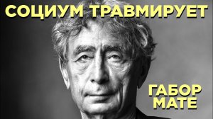 Миф о Нормальности. Габор Мате. Часть 6