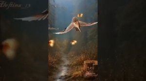 Широка  река🔊💥Remix 💥🔊🪩👍👍👍