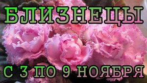 БЛИЗНЕЦЫ таро прогноз на неделю с 3 по 9 НОЯБРЯ 2025 года.