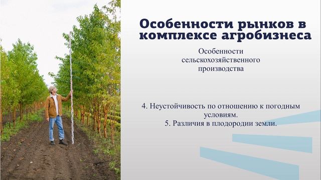 Дадалова 1 2