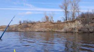 За тополёвой рядовкой... на лодке🛥️😀