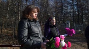 ЭХО ДНЯ 29 октября 2025