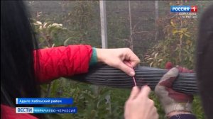 Вести Карачаево-Черкесия 28.10.2025