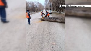 «БЛОК КОРОТКИХ НОВОСТЕЙ» 29.10.2025