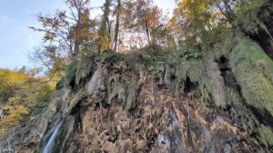 864.Октябрьские воспоминания 🧡.