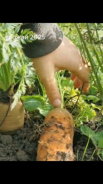 29-10-2025 смотреть онлайн