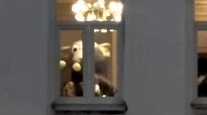 Какой то интерексный праздник у них там