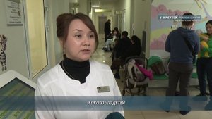 Главные новости Иркутской области, 29 октября 2025 года