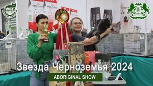 Звезда Черноземья 2024 \ Шоу аборигенных пород