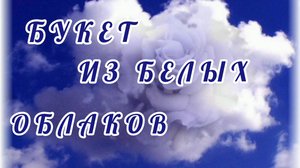 БУКЕТ ИЗ БЕЛЫХ ОБЛАКОВ