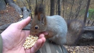 Толстая, Рыжая и Модель в одном ролике