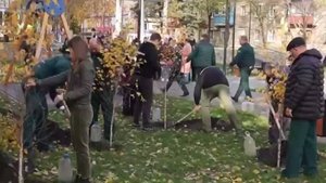 Ставропольцы высадили 170 саженцев деревьев в Антраците