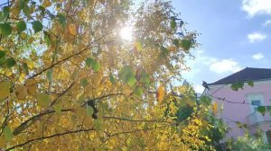 Золотая осень в санатории Пирогова