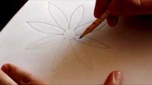 Занятие по мультипликации - Рисуем цветок