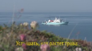 "Услышать, как растет трава"
