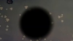 Реакции выпуск 1