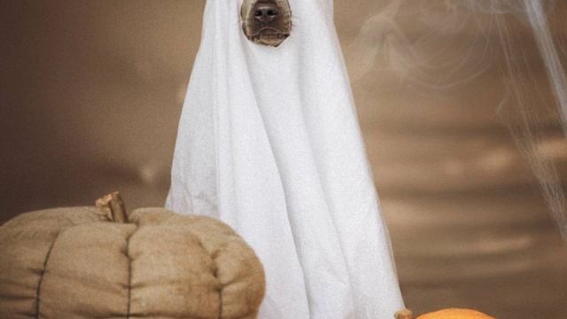 Это похоже на любовь! )