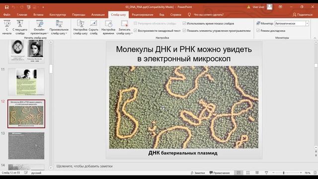нуклеиновые кислоты 1