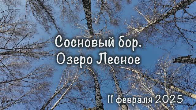 Сосновый бор. Озёра Фунька и Лесное