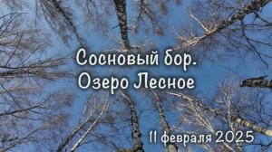 Сосновый бор. Озёра Фунька и Лесное