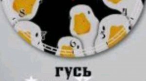 Обзор на гуся Six Seven Аргентина