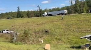 Опасные обезьяны, заражённые гепатитом С, герпесом и COVID, сбежали из разбившегося грузовика в США