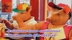 В темном Киеве заработал Макдональдс для обезьян