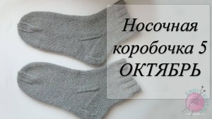 СП "Носочная Коробочка 5" с Еленой Велиной/ Отчетное видео за октябрь 2025