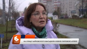 На улице Чайковского высадили новую липовою аллею