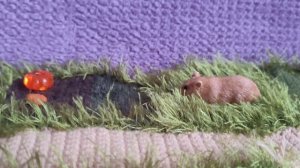 Анжела и приключения серия 1.